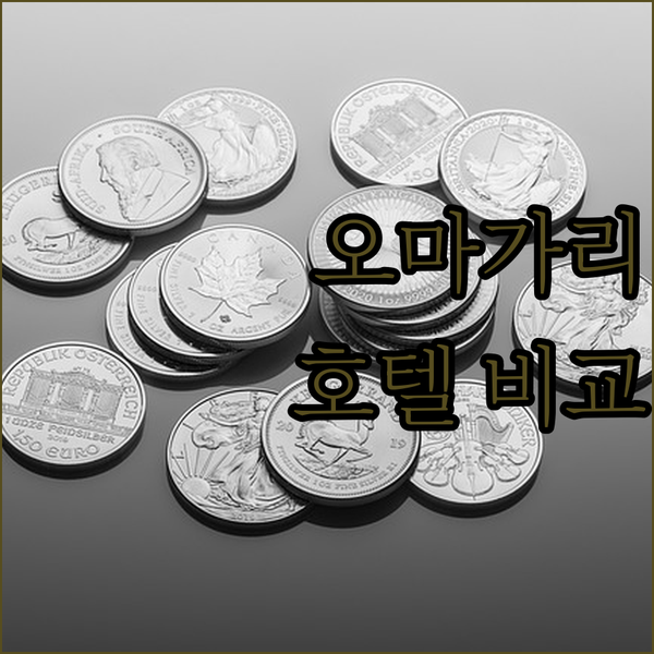 아키타 오마가리 인기 호텔 숙소 위치, 가격, 리뷰 비교 아키타 오마가리 인기 호텔 숙소 위치, 가격, 리뷰 비교