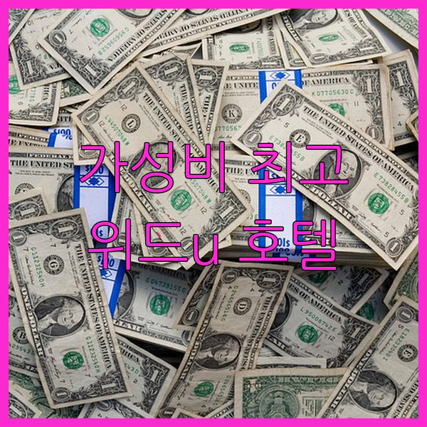 울릉도 위드u 호텔&게스트하우스! 가성비 최고, 식당가 접근성 완벽!