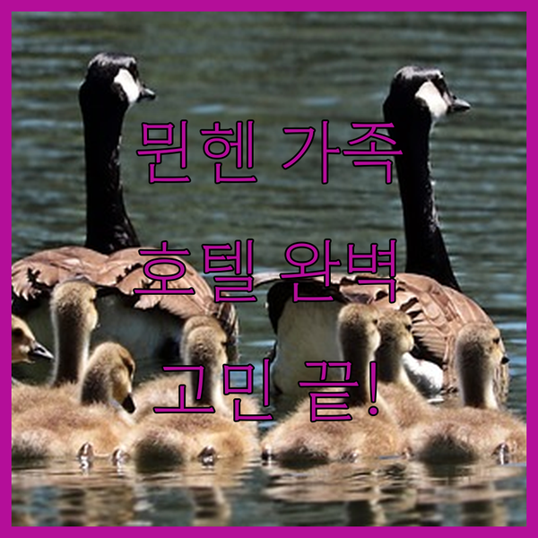 뮌헨 가족여행 숙소 고민 끝! 머큐어 호텔 뮌헨 노이펠라흐 쉬드 완벽 분석