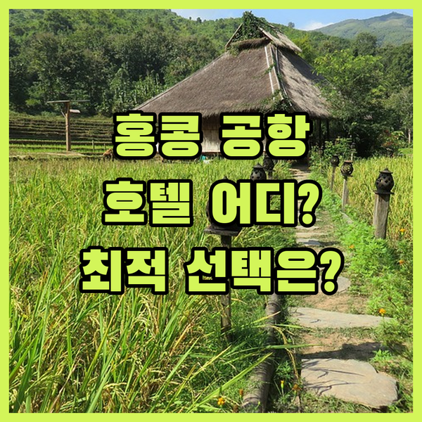 홍콩 공항 호텔 고민 끝판왕! 최적의 선택은 레갈라, 리갈, 포 포인츠 중 어디?