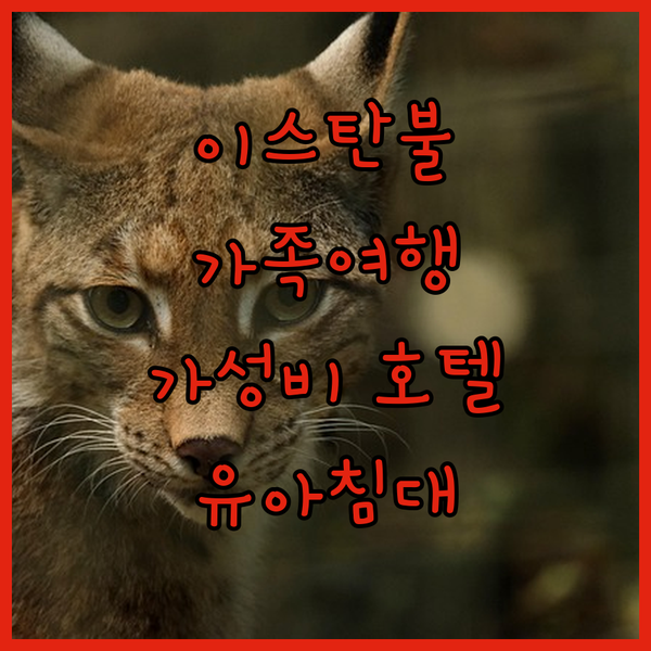 이스탄불 가족 여행객 필독! KİLİC BUOTIQUE HOTEL, 위치 좋고 가성비 최고! But, 유아용 침대 정책 확인 필수!