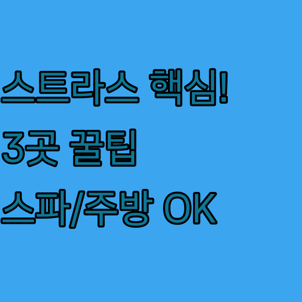 스트라스부르 호텔 3곳 이것만 보세요 기차역 도심 스파 주방 완벽 가이드