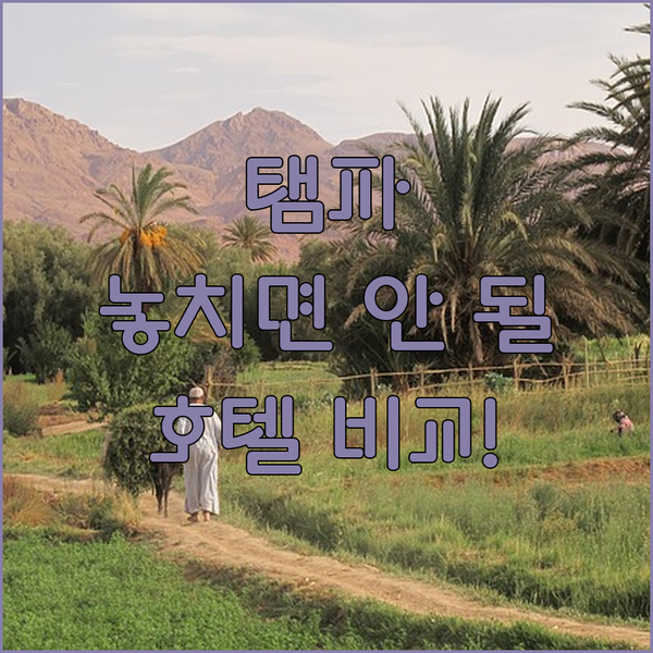 탬파 도심 속 특별한 휴식처, 탬파 에디션 루스트 탬파 탬파 메리어트 워터 스트리트 비교 가이드