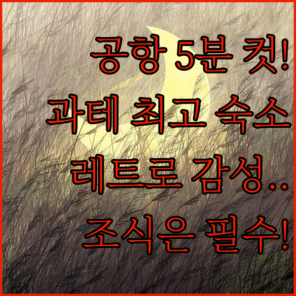 공항 5분 거리 과테말라 시티 최고의 숙소 레트로 감성 호텔과 풀 브렉퍼스트 중 선택