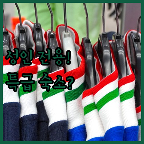 만 18세 이상 체크인 필수 발렌시아의 특이한 호텔과 인기 숙소 2곳 비교 분석