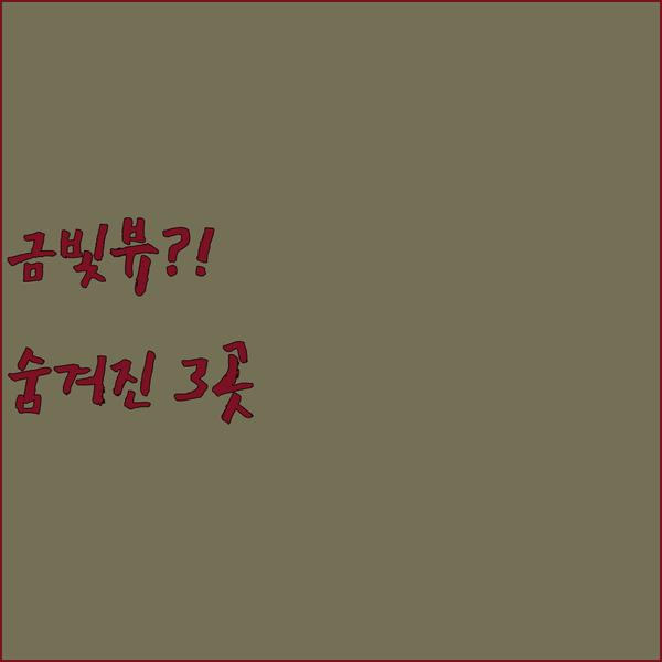 인스브루크 여행의 베이스캠프 호텔 3곳 금빛 지붕 뷰를 볼 수 있는 숨겨진 숙소는