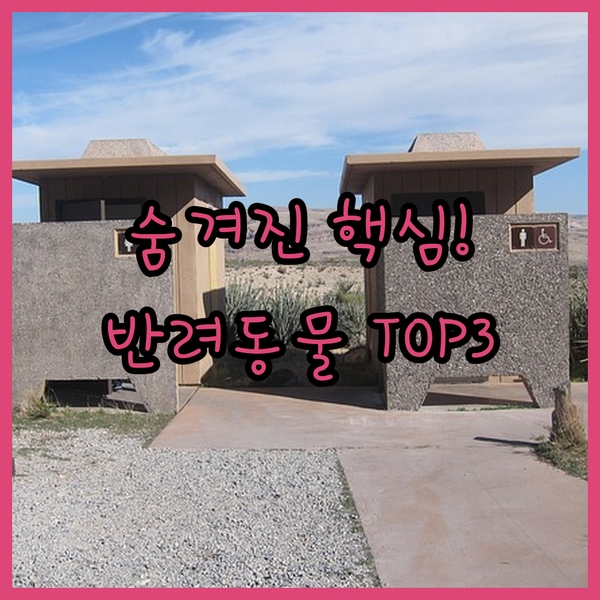 주방 수영장 반려동물 라이프치히 시티 센터 숨겨진 TOP 3 시설 비교