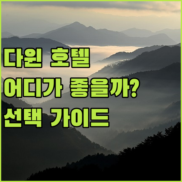 다윈 호텔 완벽 분석! 힐튼 vs 리지스 vs 만트라, 당신의 선택은?