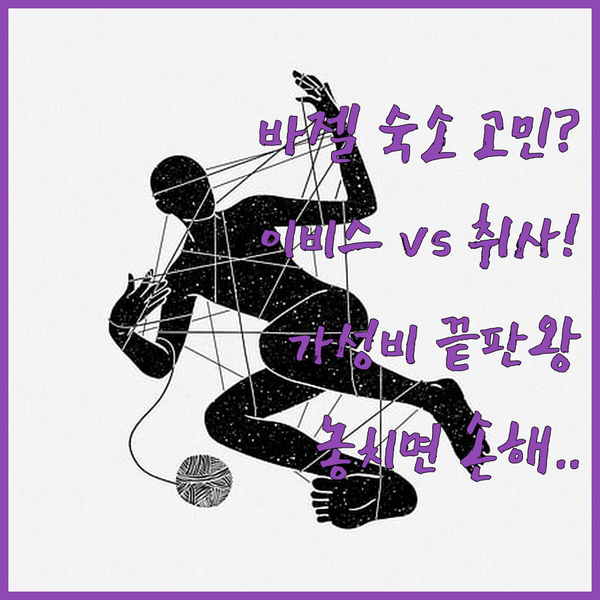 바젤 숙소 가성비 끝판왕 이비스와 취사 가능한 아파트 중 당신의 선택은