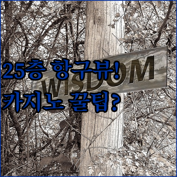 몬테비데오 래디슨 호텔 25층에서 항구 뷰 조식을 독립광장 카지노까지 즐기는 법