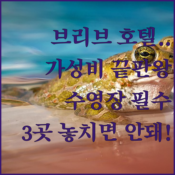 브리브라가야르드 최고의 호텔 3곳 가성비 수영장 시설 완벽 분석