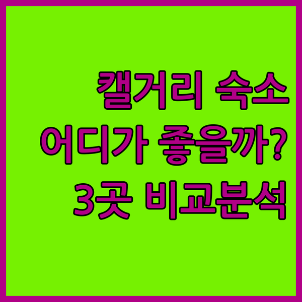어클레임 호텔 vs 햄프턴 인 vs 베스트 웨스턴, 캘거리 여행객에게 최적의 선택은?