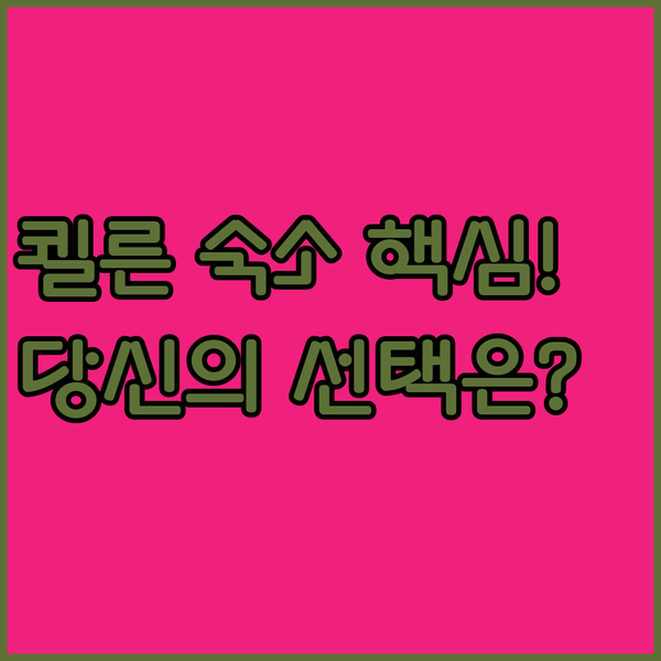 쾰른 중심부 호텔 art’otel NH 노보텔 완벽 비교 당신의 선택은