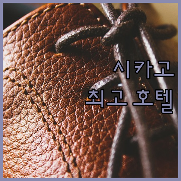시카고 여행객 필독 워릭 앨러턴 호텔, 최고의 위치와 깨끗한 객실!