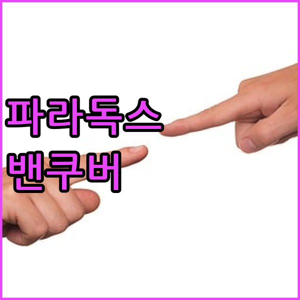 파라독스 호텔 밴쿠버 후기 럭셔리한 경험과 완벽한 위치!