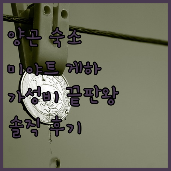 가성비 끝판왕 양곤 민트 미야트 게스트 하우스 솔직 후기