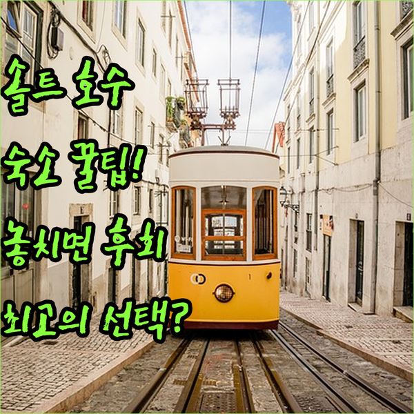 솔트 레이크 시티에서 후회 없는 숙소 선택 가이드
