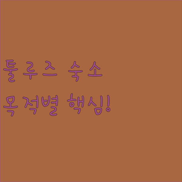 툴루즈 호텔 예약 전 필독 공항 비즈니스 시내 관광 목적별 선택법