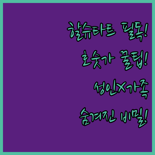 호숫가 성인 전용 하이드어웨이 가족 샬레 할슈타트 숙소 당신이 몰랐던 세 가지 비밀