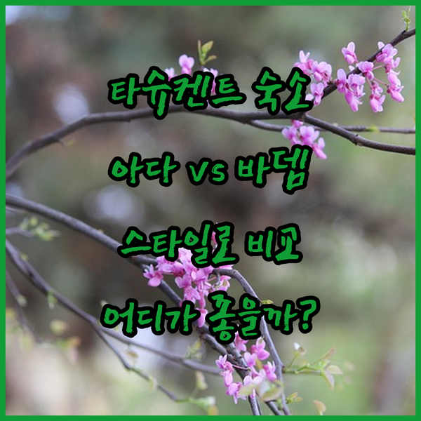 타슈켄트 여행객 필독 아다 호텔 vs Badem Garden Hotel vs 스타일로 레지던스 스위트 어디가 좋을까