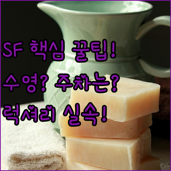 수영장 vs 무료 주차 샌프란시스코 여행 스타일별 럭셔리 실속 호텔 3곳 완벽 분석