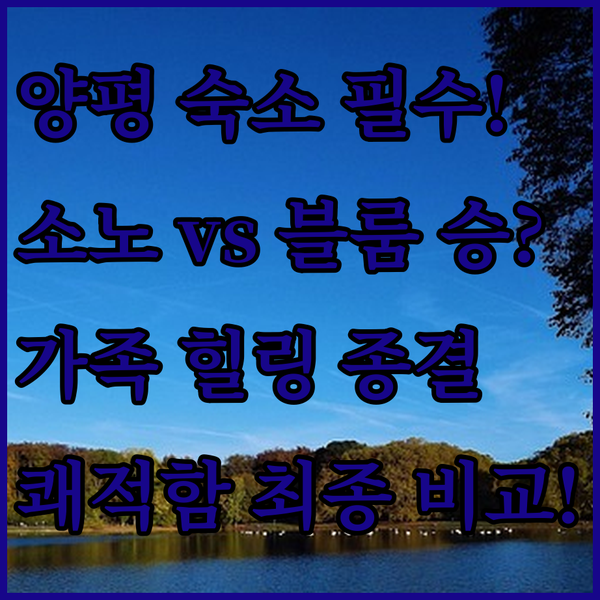 양평 숙소 소노벨 쉐르빌 블룸비스타 가족 힐링 쾌적함 최종 비교