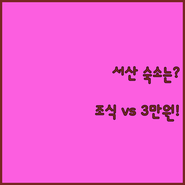 서산 숙소 전쟁 조식 주는 하운드호텔과 3만원대 별밤 중 당신의 선택은