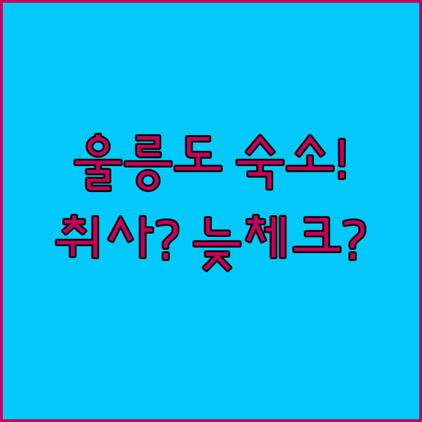 울릉도 숙소 어디? 취사가능 vs 늦은 체크인! 내 여행 스타일에 맞는 곳 최종 선택