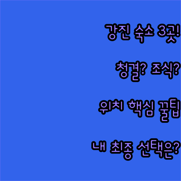 강진 숙소 3곳 청결 조식 위치 당신의 여행 스타일에 맞는 최종 선택은