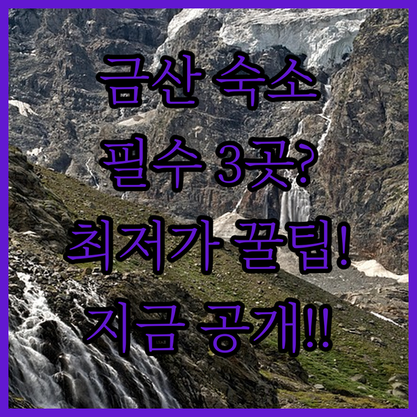 금산 숙소 선택 가이드 3곳의 숨겨진 장점과 최저가 정보