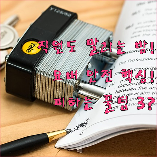 요하네스버그 CBD 숙소 직원도 말리는 밤 외출 피하는 안전한 선택지 3