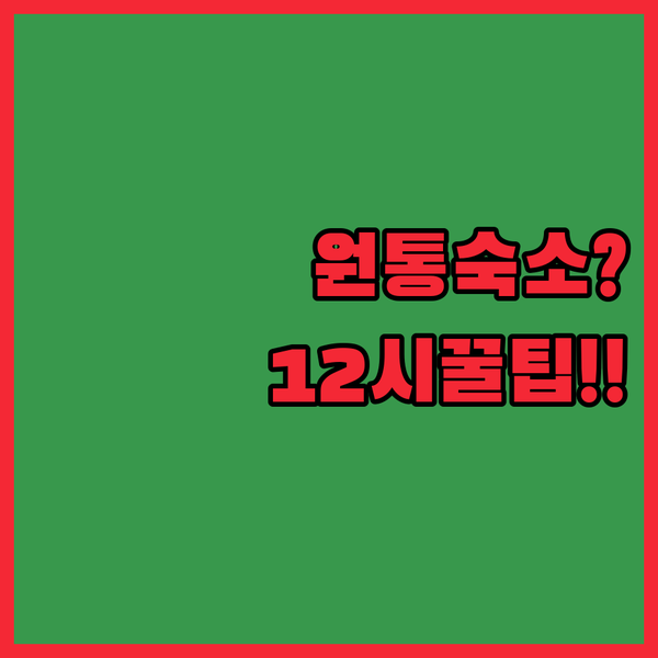 인제(원통) 숙소 고민 끝 체크아웃 12시 꿀팁 숙소는 어디