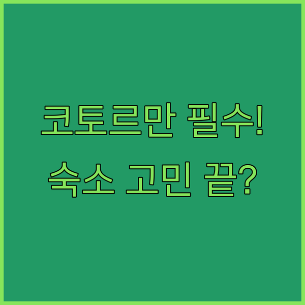 유럽의 숨겨진 보석 몬테네그로 코토르 만 숙소 3곳 선택 가이드