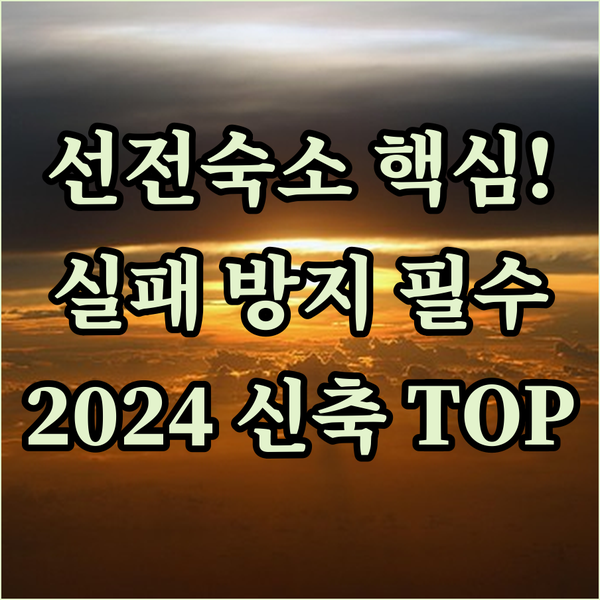 선전 숙소 실패 방지 2024년 신축 포함 인기 4성급 3대장 완벽 해부