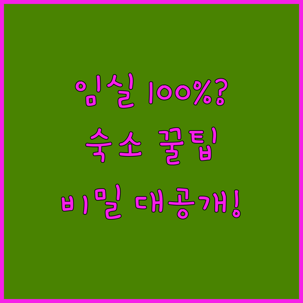 임실 여행 만족도 100% 보장 숙소 세 곳의 숨겨진 비밀 공개