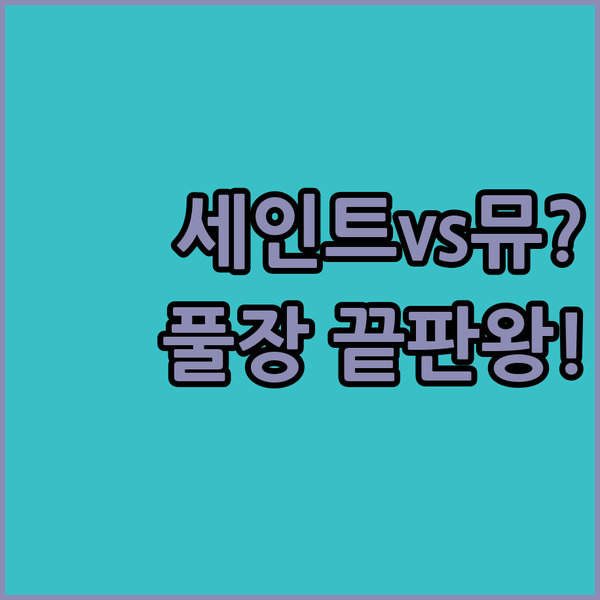 고민 끝 강릉 오션뷰 숙소 인피니티풀 세인트존스 뮤튼롤 끝장 비교