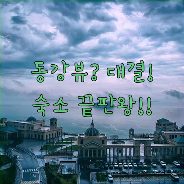 영월 단양 숙소 고민 끝판왕 동강 뷰 리조트 대 사장님 친절 펜션 완벽 비교