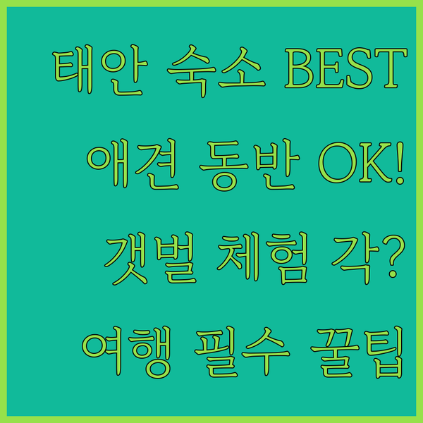 태안 펜션 찾기 끝 여행 스타일에 딱 맞는 애견 동반 갯벌 체험 숙소 추천