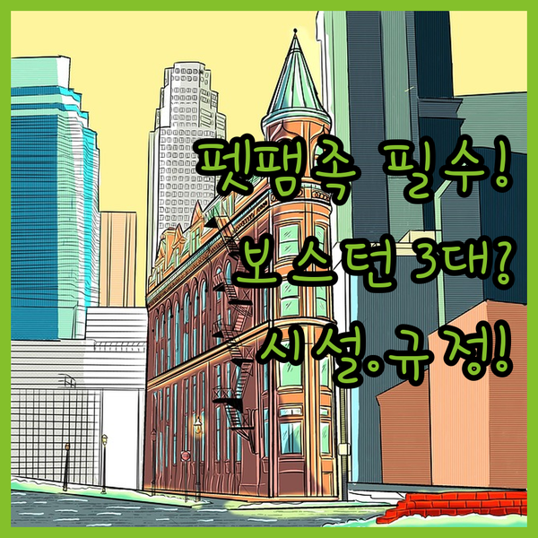 펫팸족도 주목 보스턴 럭셔리 호텔 AKA 하버 캐노피 시설부터 규정까지 3대 비교