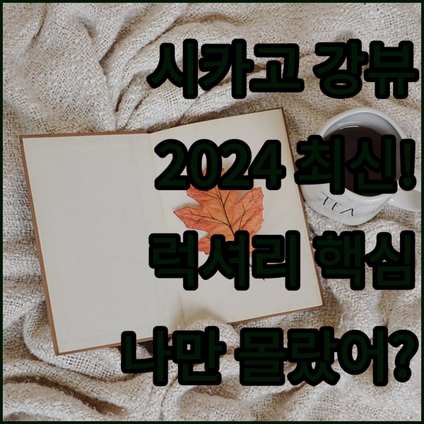 시카고 강변 뷰 전쟁 2024년 최신 시설 럭셔리 호텔에서 나만의 완벽한 숙소 찾기