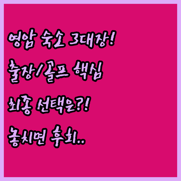 영암 숙소 3대장 골프 서킷 출장 목적 최적의 선택은