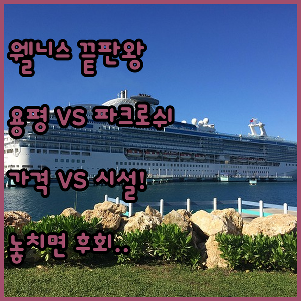 웰니스 끝판왕 파크로쉬 vs 액티비티 모나 용평 가격과 시설 심층 비교