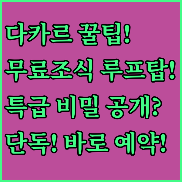 다카르 여행 비밀 무료 조식과 루프탑 수영장 가진 숙소는 어디