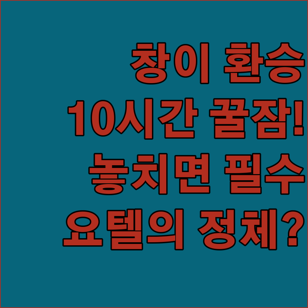 창이 공항 환승객 필독 단 10시간 숙면 가능한 싱가포르 요텔에어의 정체