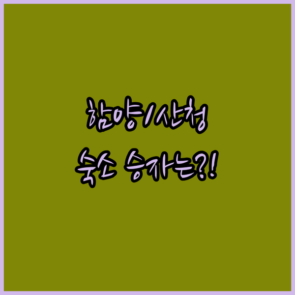 함양 산청 숙소 고민 끝 전통 한옥 초저가 모텔 강변 캠핑 승자는