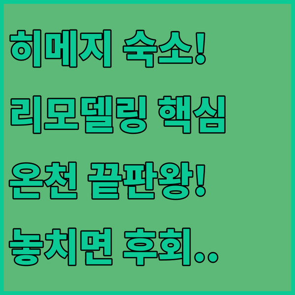 히메지 여행 숙소 끝판왕 리모델링 vs 온천 당신의 완벽한 힐링 호텔은