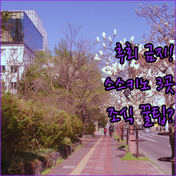 삿포로 숙소 후회 금지 스스키노 호텔 3곳 위치 조식 꿀팁 총정리