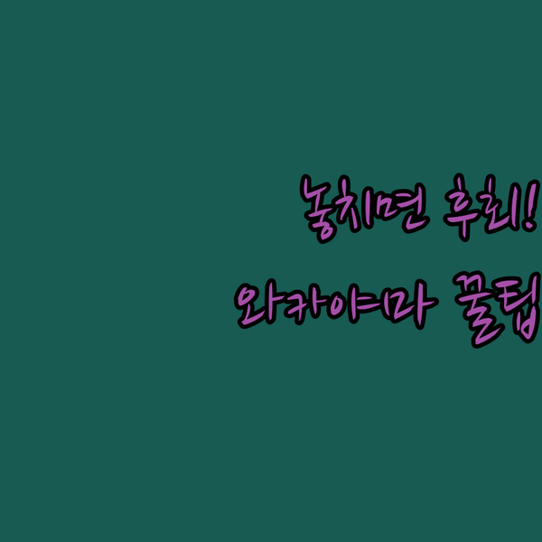 와카야마 여행 1분 1초가 아깝다면 이 호텔 보세요 0630 조식 가능한 곳은