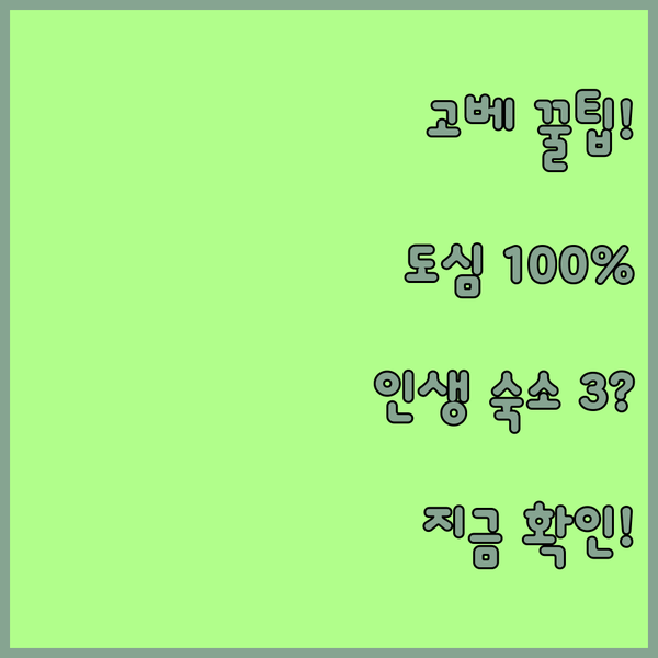 고베 여행 100% 만족하는 숙소 3곳 지금 바로 도심 접근성 특가 확인