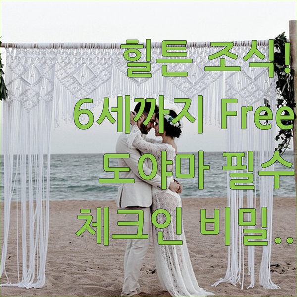 힐튼 조식 무료 만 6세까지 도야마 호텔 세 곳의 숨겨진 체크인 비밀